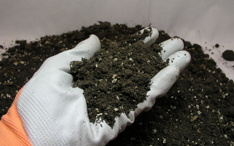 World of Irises Horticultural Vermiculite For iris gardens from clay