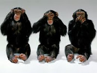 Monkey Cells
