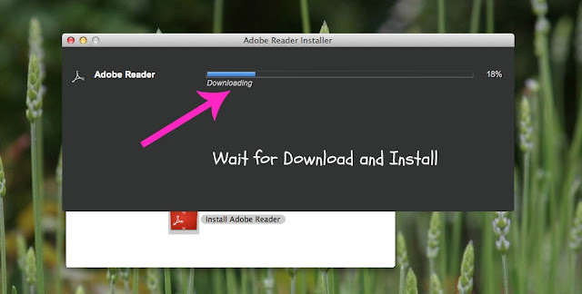 how to open a adobe reader file in word