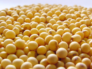 Soya Para Aumentar El Metabolismo Soya Para Aumentar El Metabolismo