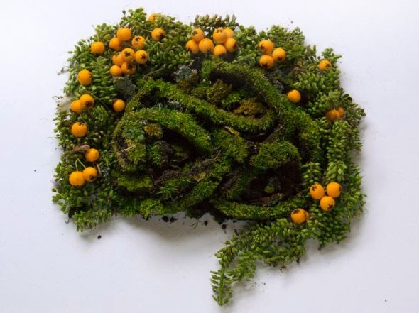 Camila Sitarama Carlow sculpture photography plants flowers arranged human body organs Gut Camila Sitarama Carlow sculpture photography plants flowers arranged human body organs Gut