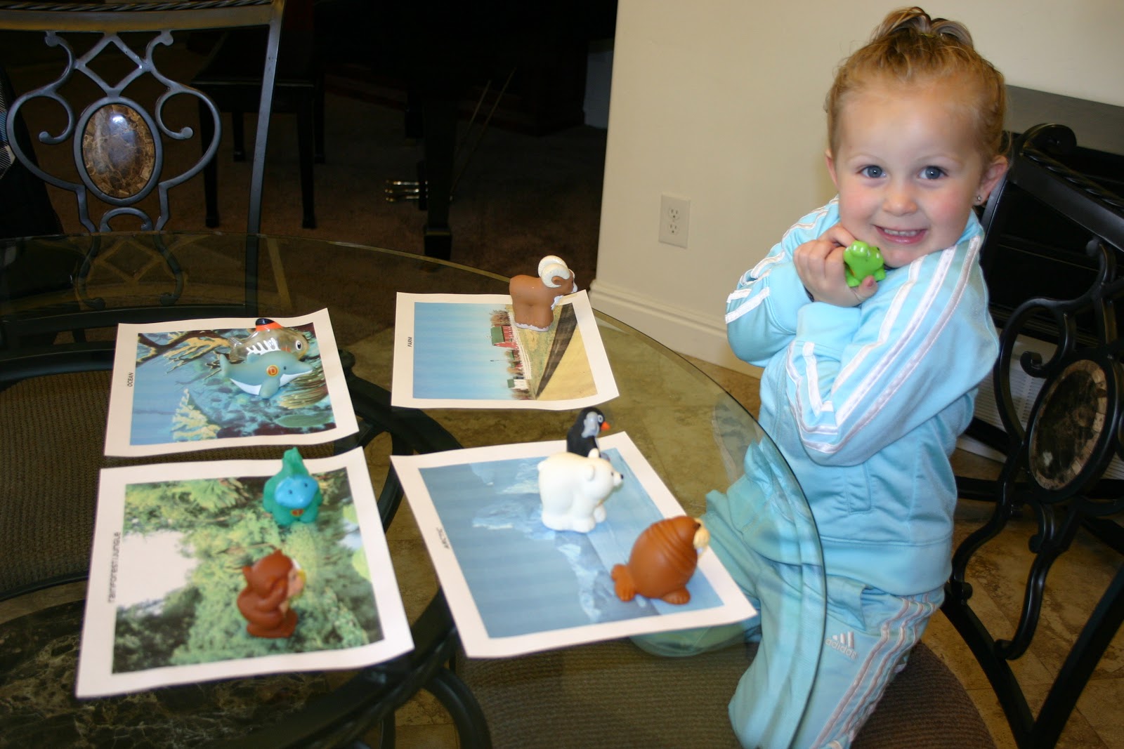 Puddle Wonderful Learning: Preschool Activities: Habitat Sort