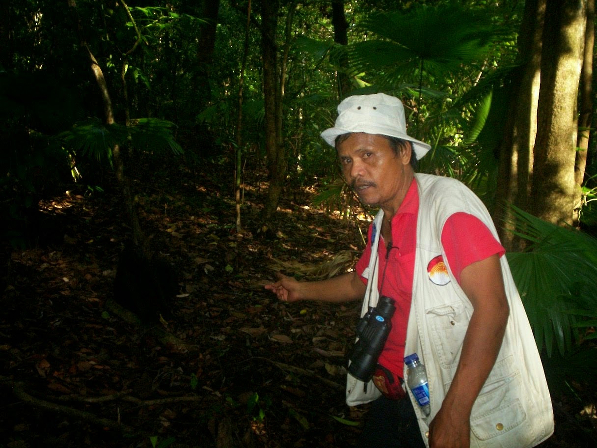 tangkoko nature reserve  tour