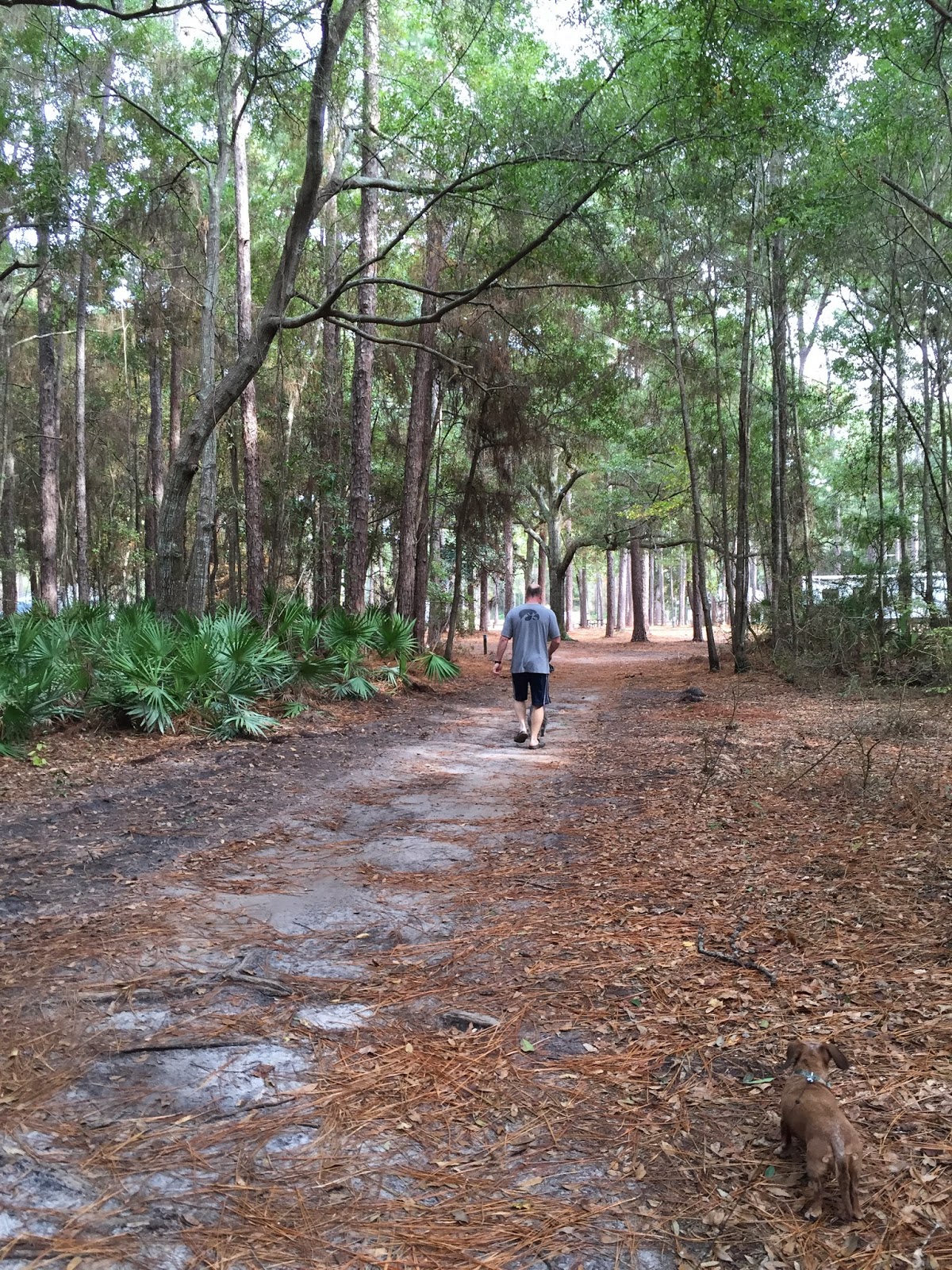CRAZY MARLINS Crooked River State Park