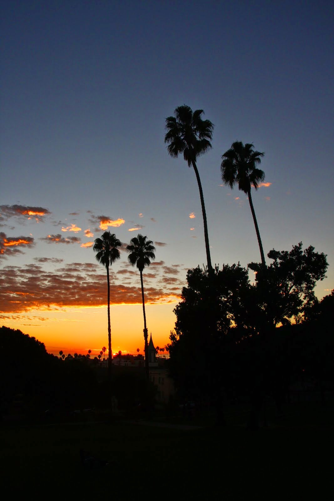 Goodnight Santa Monica!