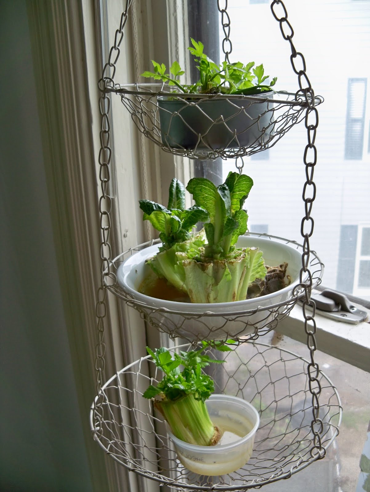 Tactivism DIYer Upcycled Hanging Wire Basket