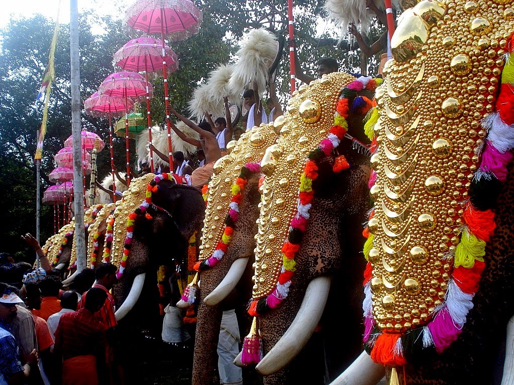 It's English class. Thrissur Pooram