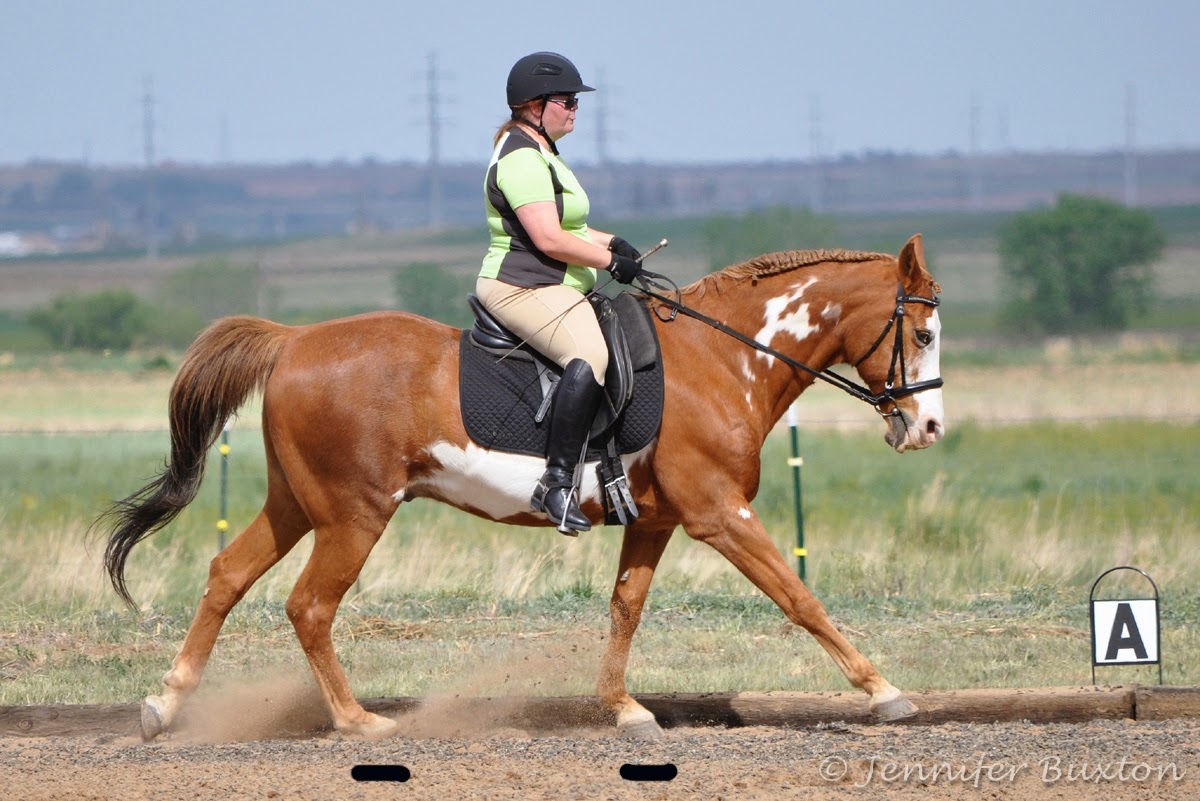 Braymere Custom Saddlery Canter leads