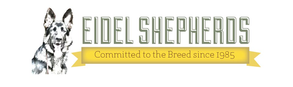 Eidel Shepherds
