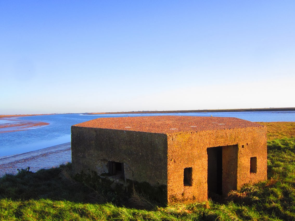 Matt ArtPix January 2014