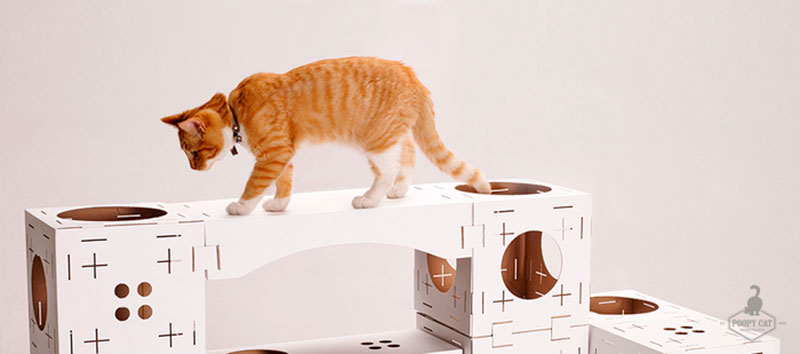Poopy Cat una casa de juegos de cartón modular para gatos