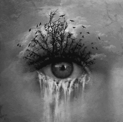 GOTAS DE SOMBRAS
