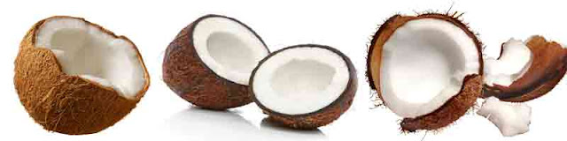health_benefits_of_eating_coconut_fruits-vegetables-benefits.blogspot.com(1) health_benefits_of_eating_coconut_fruits-vegetables-benefits.blogspot.com(1)