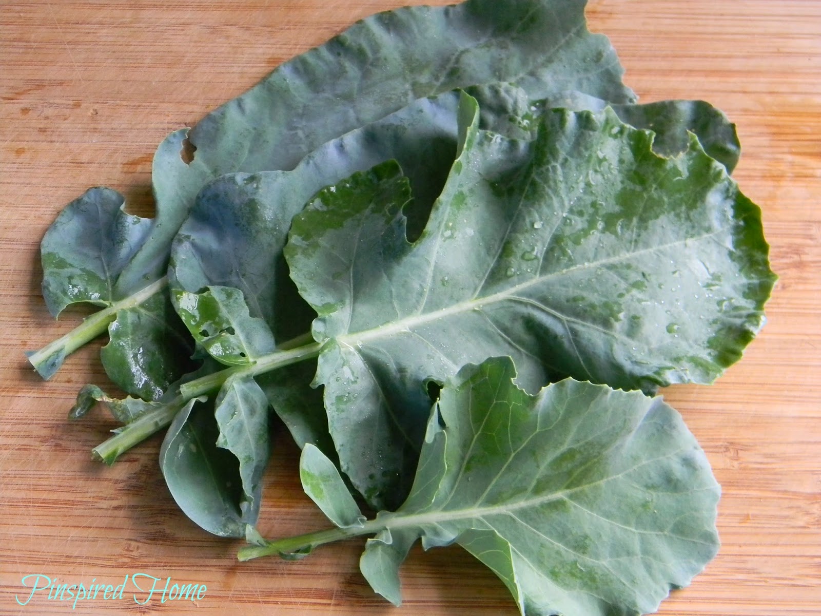 Pinspired Home How to Freeze Broccoli