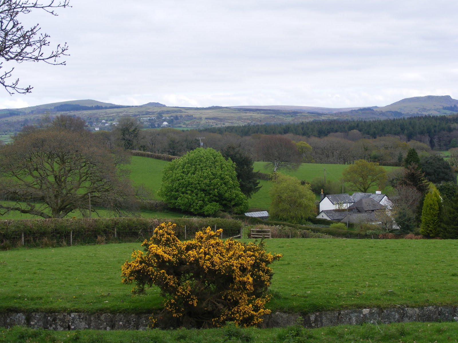 Life in Plymouth Yelverton to Clearbrook, Dartmoor