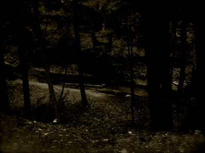 Michigan's Knutsen Creek