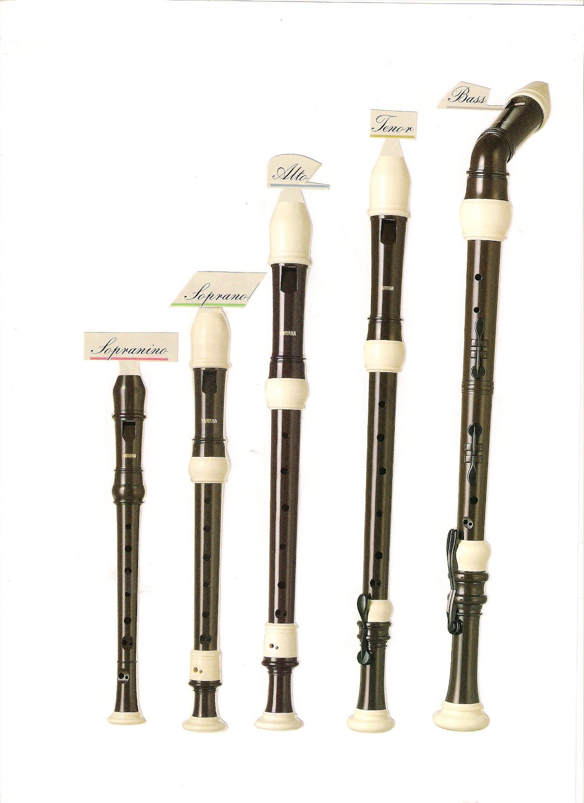 MUSICA EN RIOMAR: FLAUTAS DE PICO