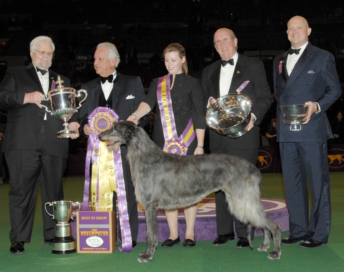 To Dog With Love: Who Will Win THIS Year's Westminster Kennel Club Dog Show?!
