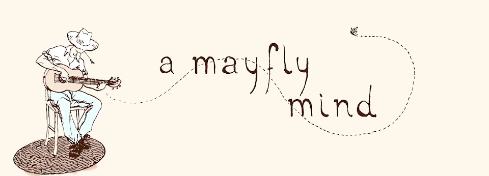 A Mayfly Mind