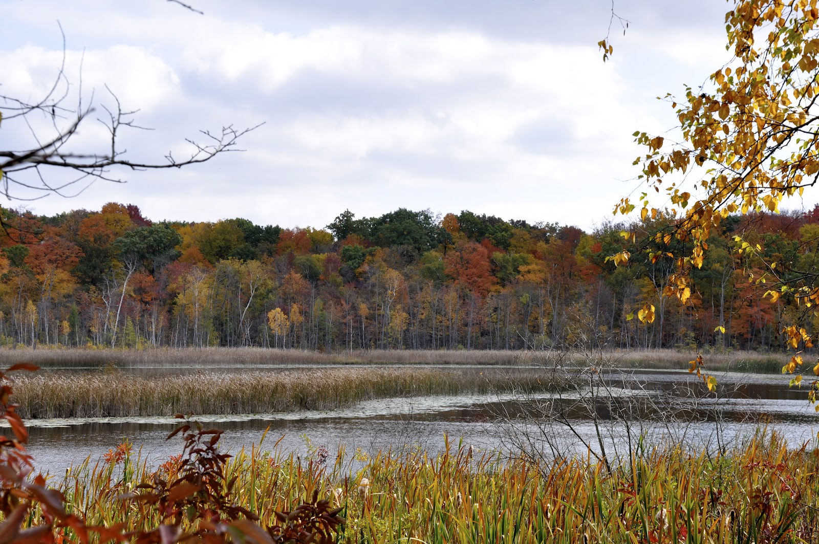 Milwaukee Area Parks Kettle Moraine Scenic Drive