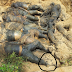 Gambar Mayat Penceroboh & Kubur di Lahad Datu