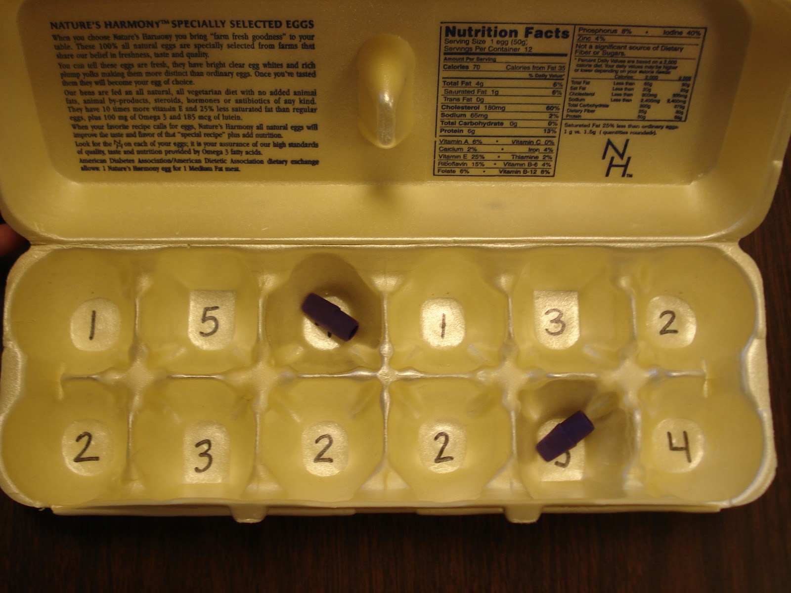 Egg Carton Addition
