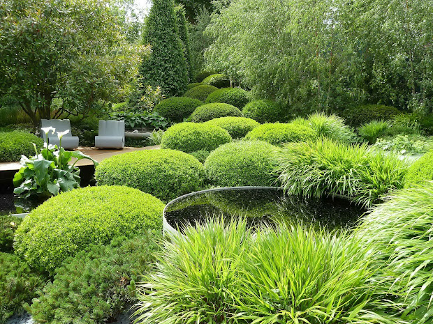 modern landscape design ideas