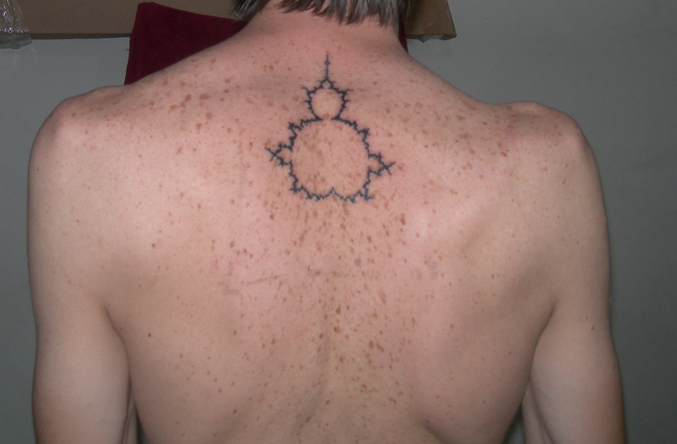 Mandelbulb/Mandelbrot/fractals for beginners.: My Mandelbrot Set Tattoo