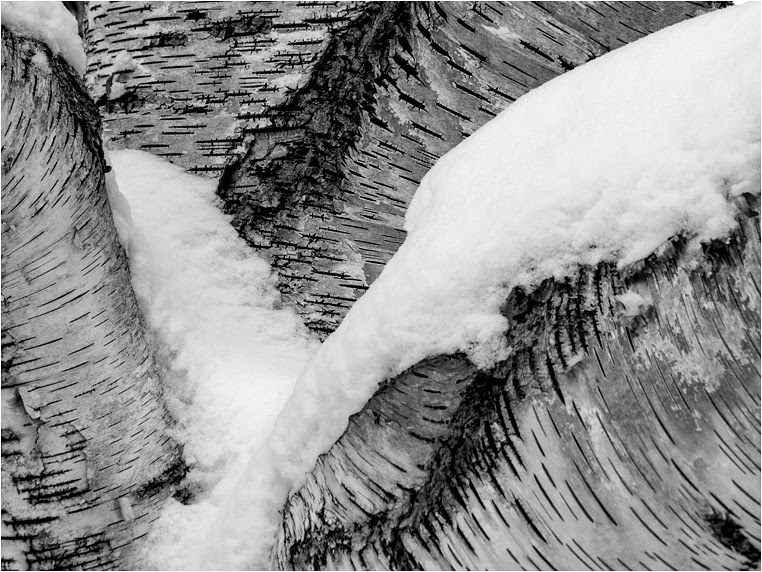 Compact Camera, Best Photo of the Day in Emphoka by Bill Harrison, Canon PowerShot SX50 HS, http://flic.kr/p/k81uAB Compact Camera, Best Photo of the Day in Emphoka by Bill Harrison, Canon PowerShot SX50 HS, http://flic.kr/p/k81uAB
