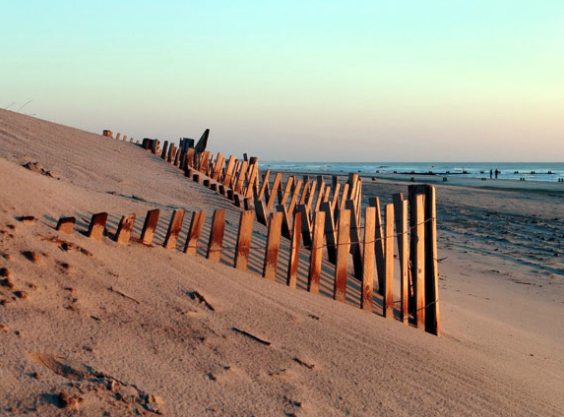 dune regeneration soft engineering dune regeneration soft engineering
