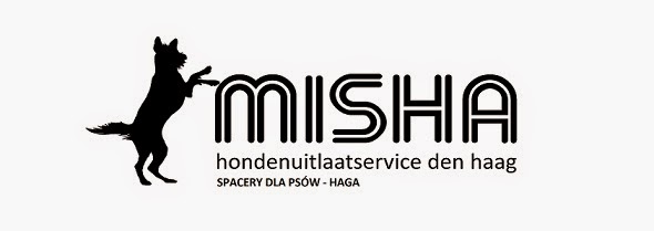 MISHA - SPACERY DLA PSÓW - HAGA