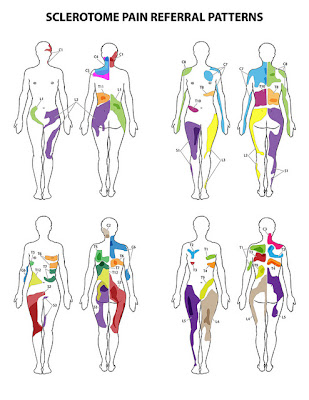 誰かのために what can i do for someone sclerotome chart referred chart foot