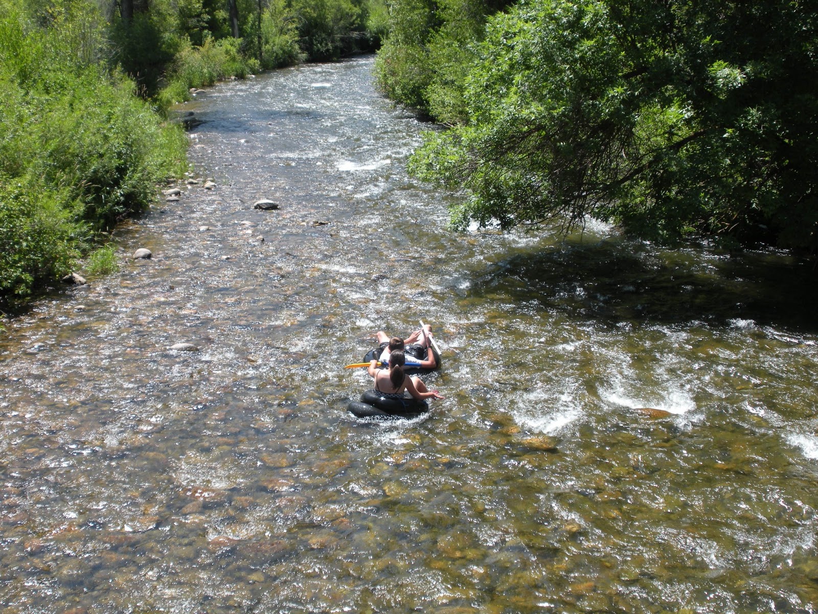 SasqWasatch Bigfoot Sightings List For Utah