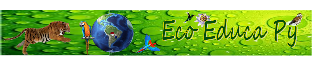 Eco Educa Py