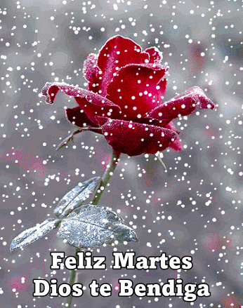 Resultado de imagen para gifs animados de feliz martes