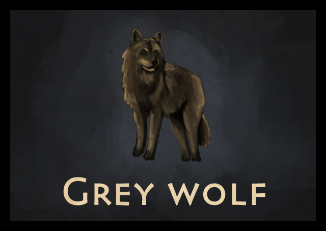 grey%20wolf.jpg