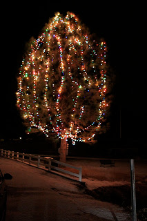 A Little Cuppa Tea: Christmas Nights in Utah