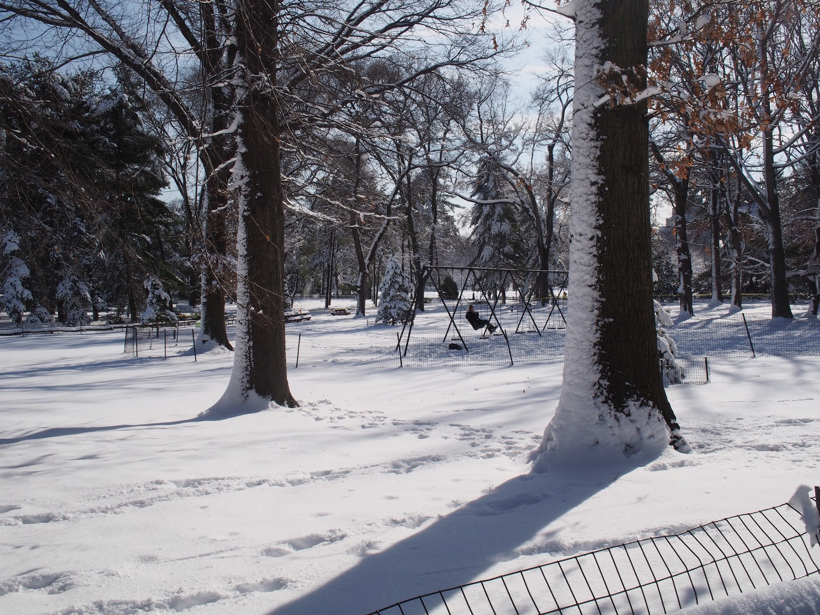 Swinging in the Snow, #centralpark #nyc #snow 2013 Swinging in the Snow, #centralpark #nyc #snow 2013