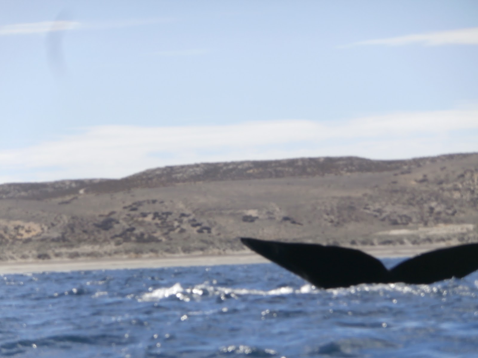 Lateinamerika Christlclear