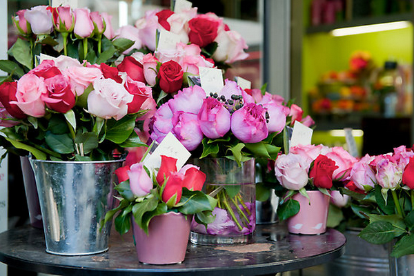 [Image: 7-khu-cho-hoa-ruc-ro-sac-mau-2.jpg]