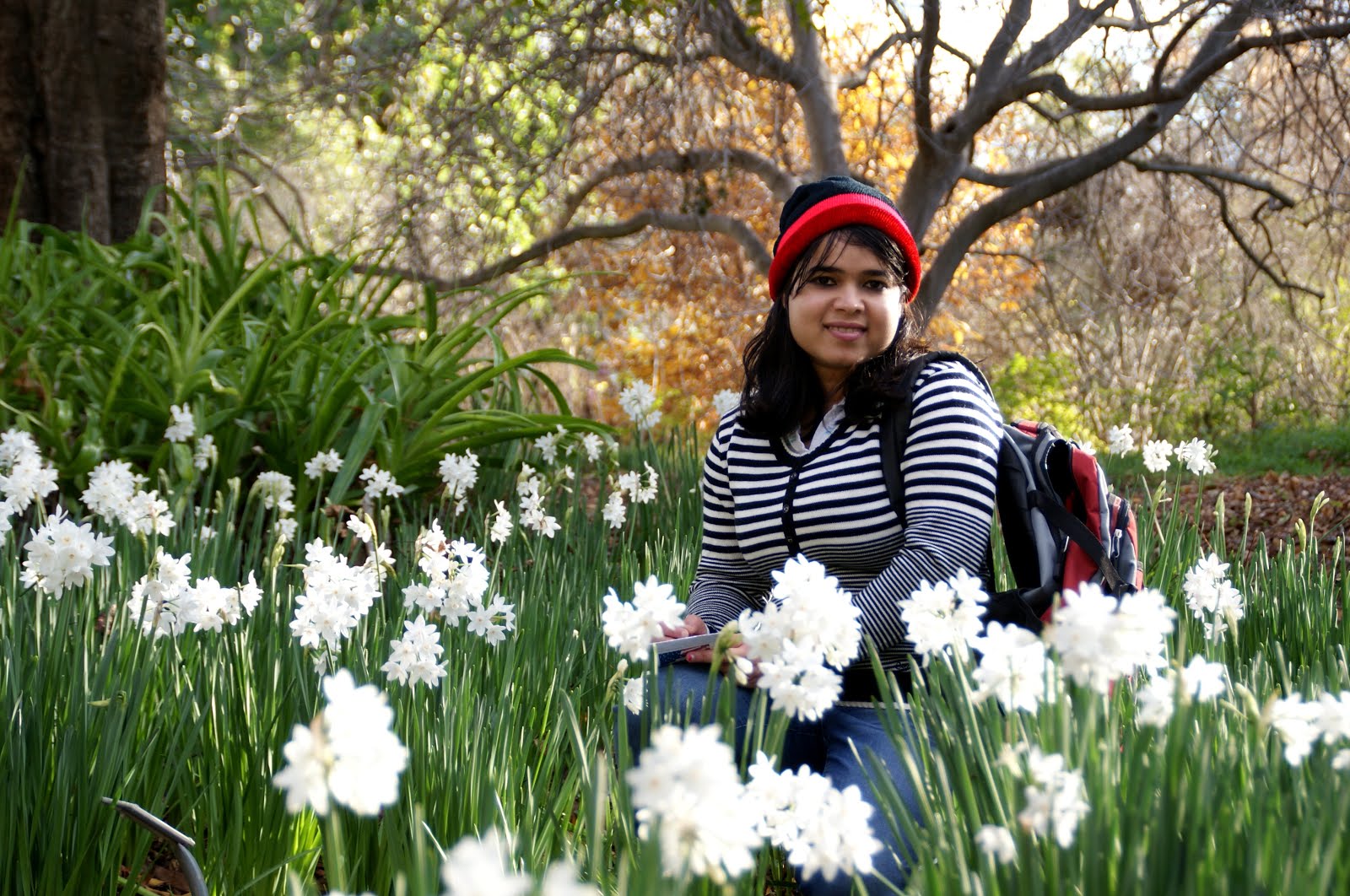 Amongst the narcissus...