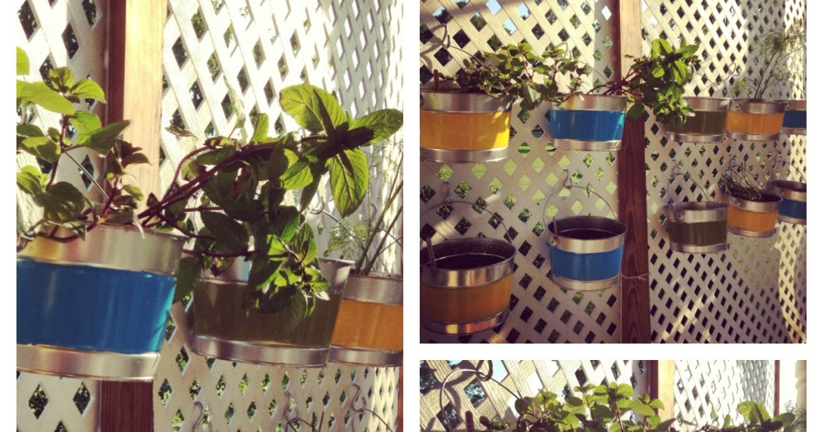 Katrina's Crafty Corner: Mini Bucket Herb Garden