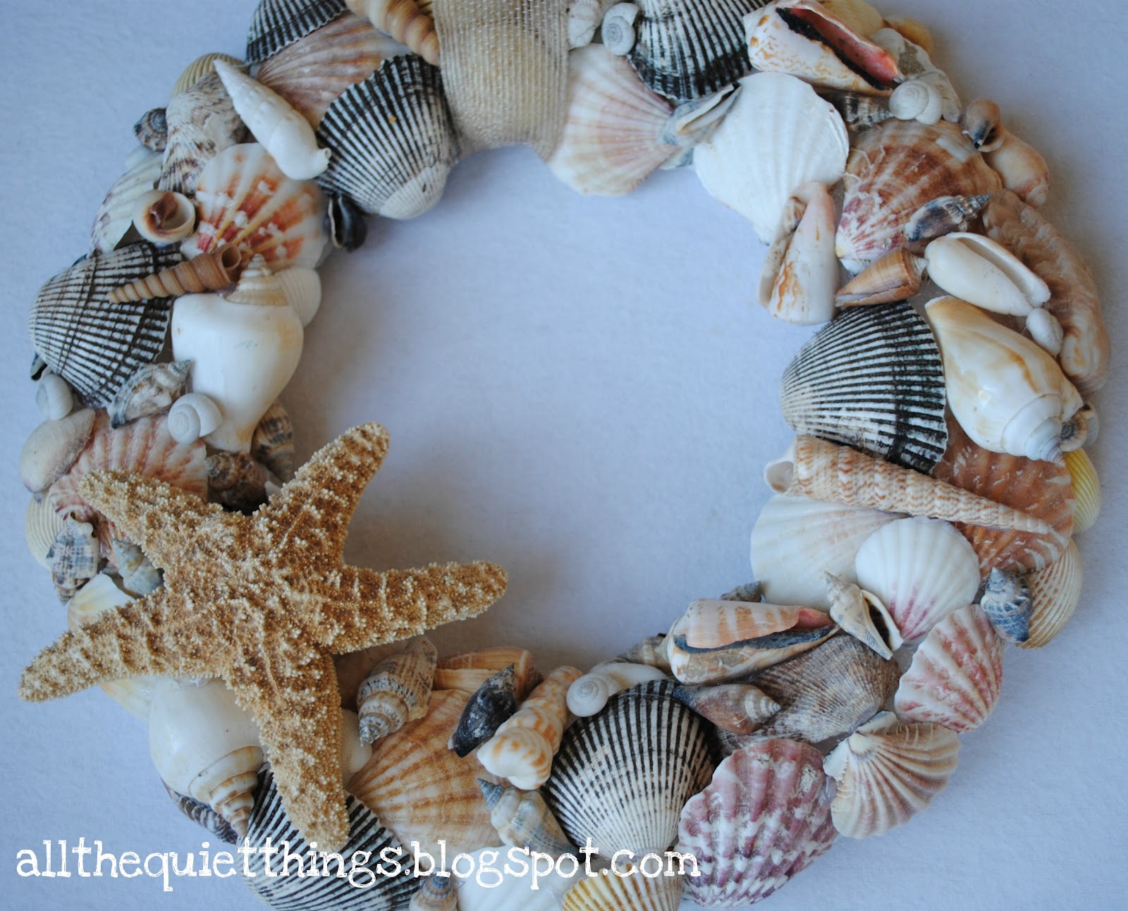 All The Quiet Things She Sells Sea Shells...