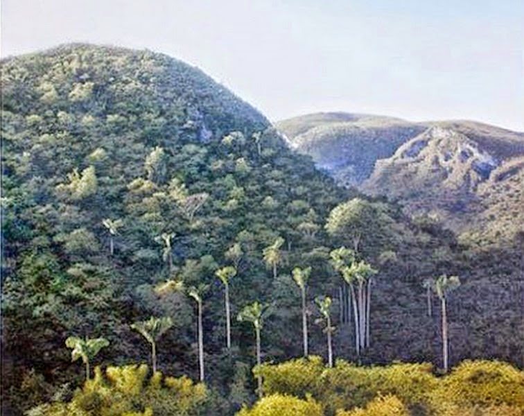 cuadros-de-pintores-de-paisajes-cubanos-imagenes paisajes-naturales-de-cuba
