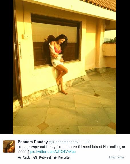 Poonam Pandey hot pics in bra Poonam Pandey hot pics in bra