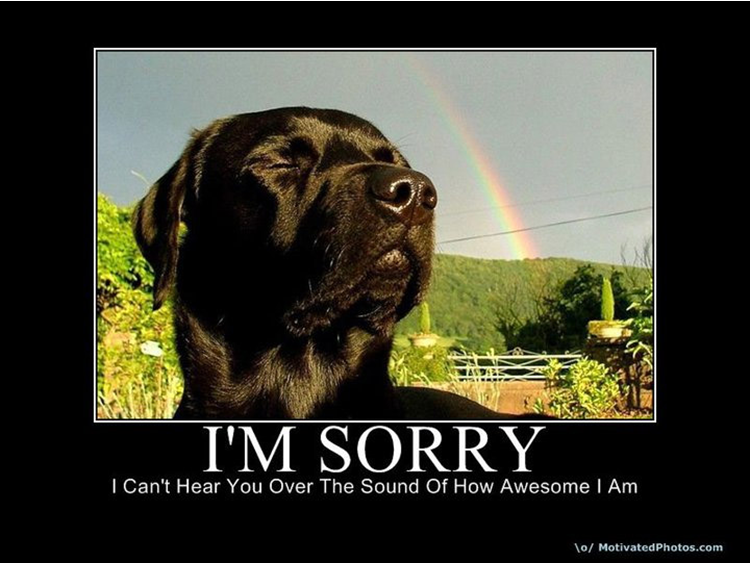 Awesome Dog Quotes. QuotesGram