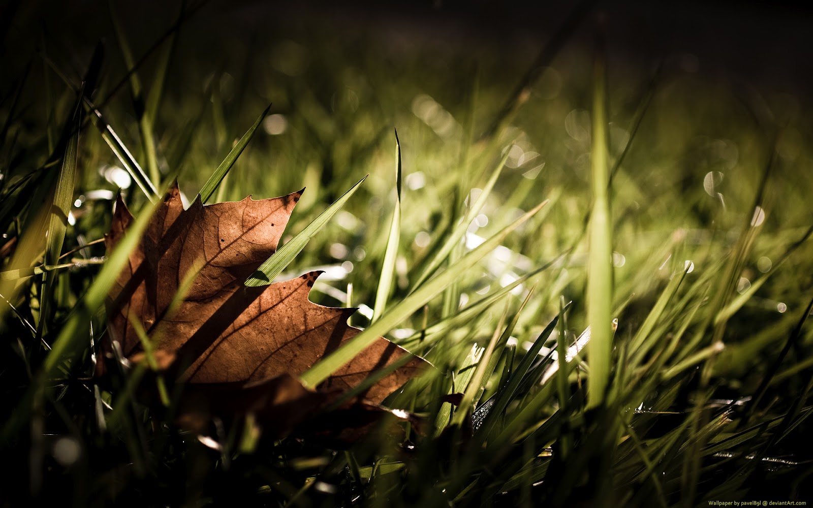 http://4.bp.blogspot.com/-Gn-ZlTHjWF0/USm2nLXYVgI/AAAAAAAADDA/xX9TXOv7O1Y/s1600/Top%2012%20Cool%20Windows%208%20HD%20wallpapers%20for%20desktop%20backgrounds%20(6).jpg