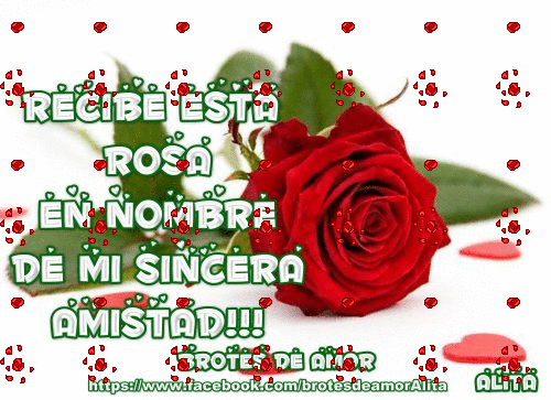 VIDEO OREJA VAN GOGH MIL ROSA video oreja van gogh mil rosa: