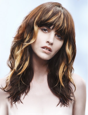 Hair Highlights Hair Highlights
