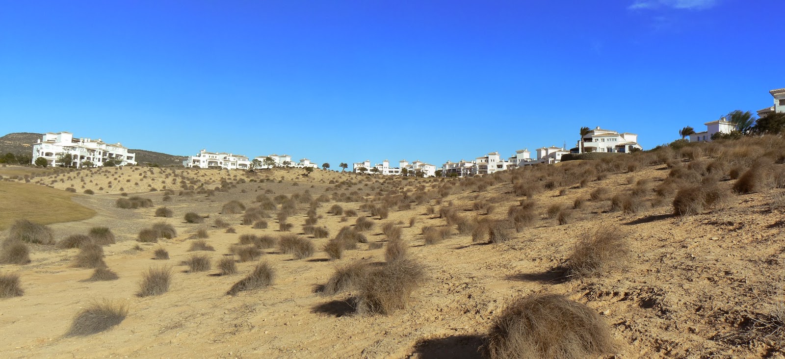 Hacienda Riquelme Blog Invierno en Murcia / Winter in Murcia